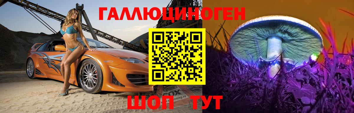 Псилоцибиновые грибы Psilocybe  Галлюциногенные грибы мицелий  Киров  Вход с VPN 